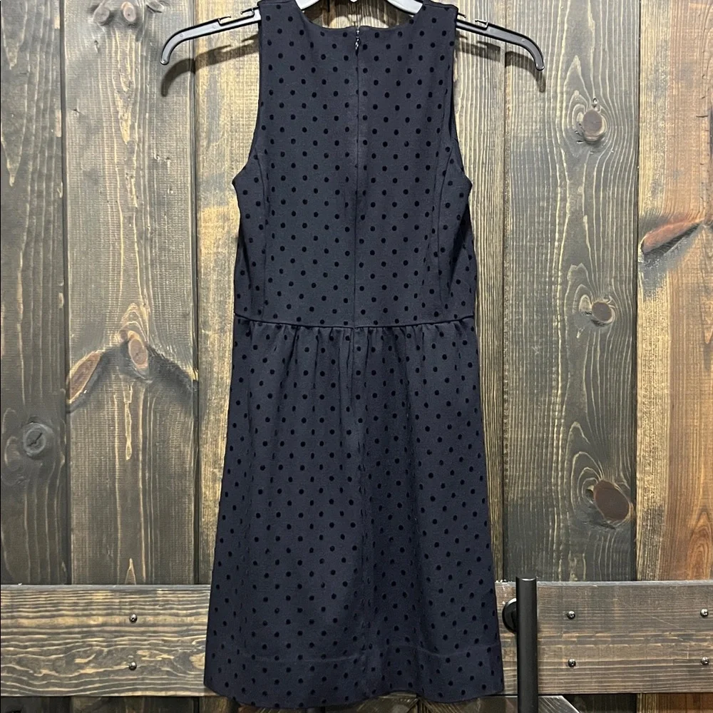 J. Crew Black Velvet Polka Dot Dress‎ S Ponte Preppy Dark Coquette Whimsigoth
